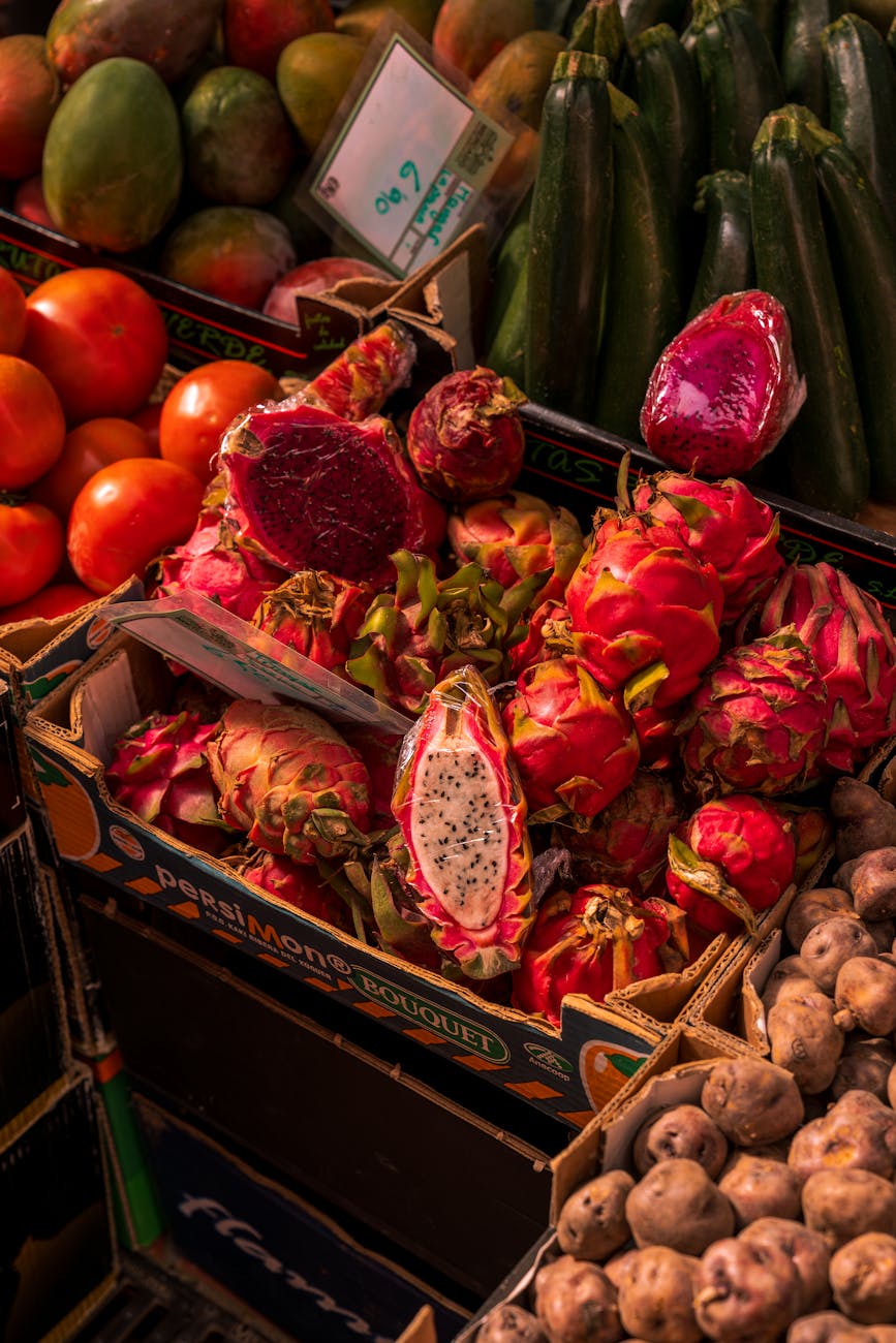 Courgette : Guide complet pour une culture respectueuse et réussie