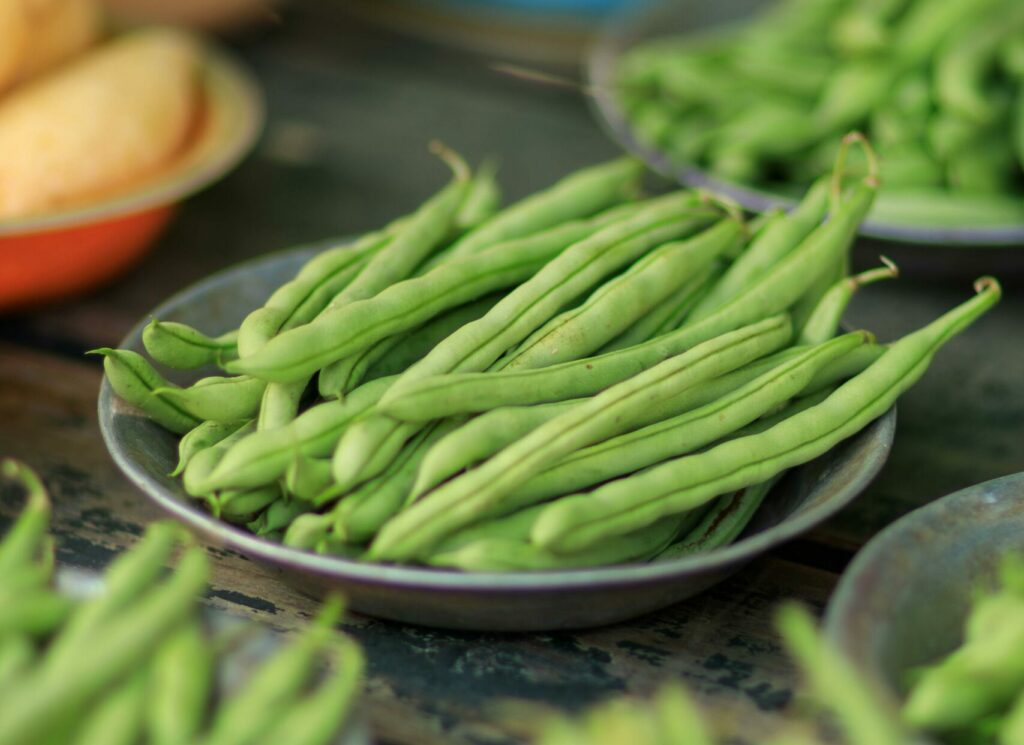 Haricots verts : le guide complet pour réussir la culture