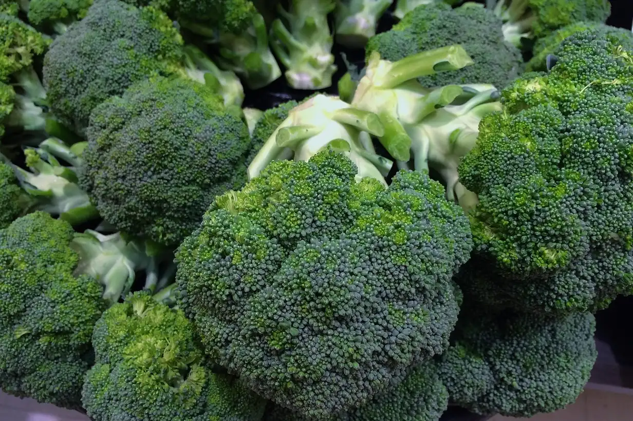 Brocoli : maladies et ravageurs, solutions naturelles efficaces