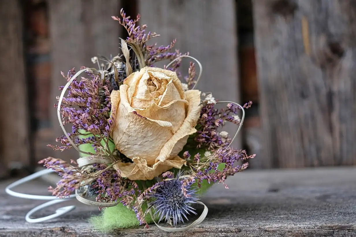 Des alternatives écologiques au sapin de Noël inspirées du jardin : 9 idées créatives à tester