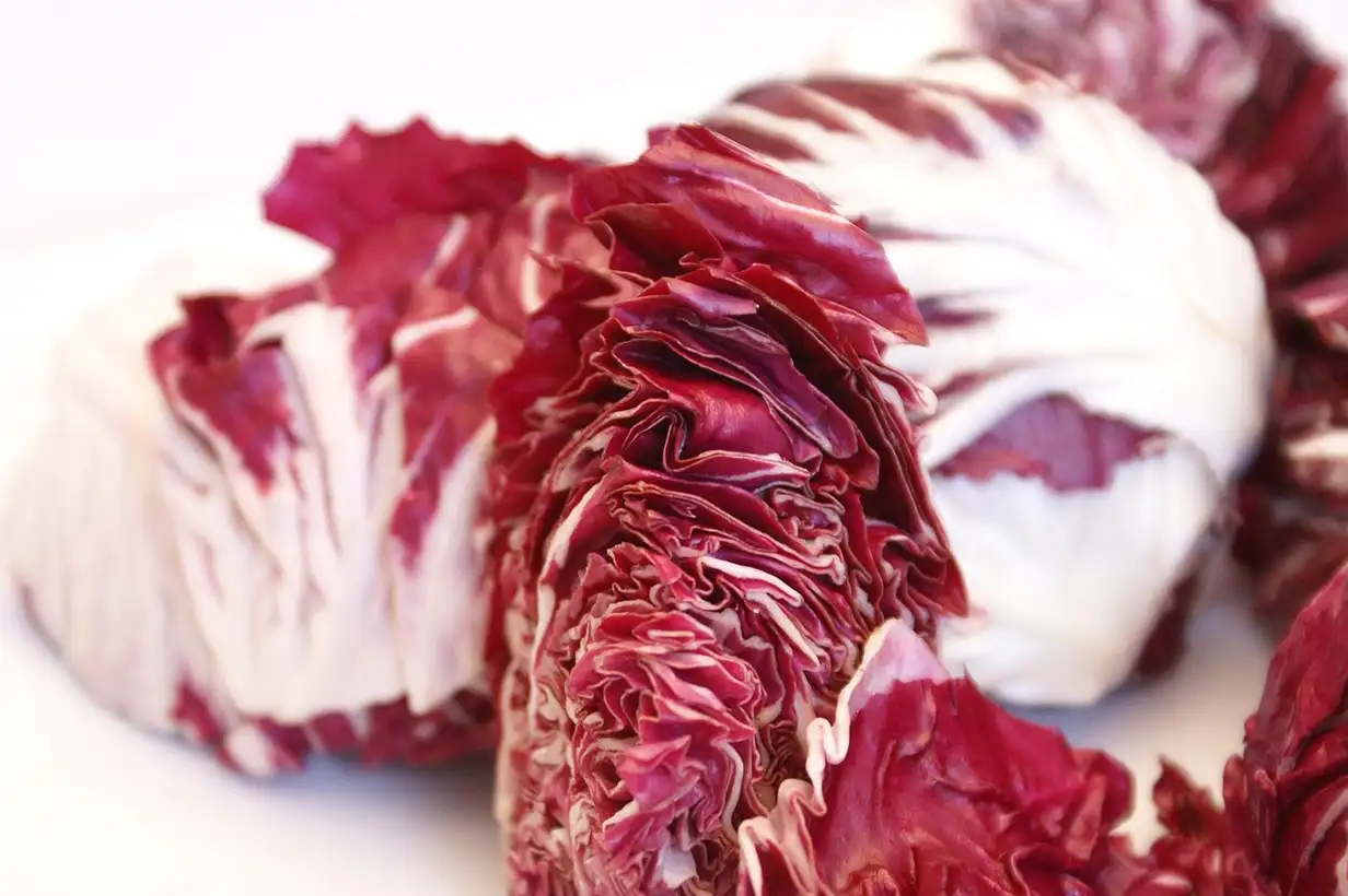 Endive : variétés à choisir pour un potager productif