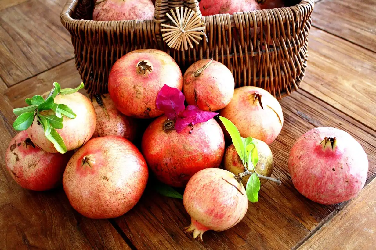 Grenadier : récolter et conserver les grenades sans les abîmer