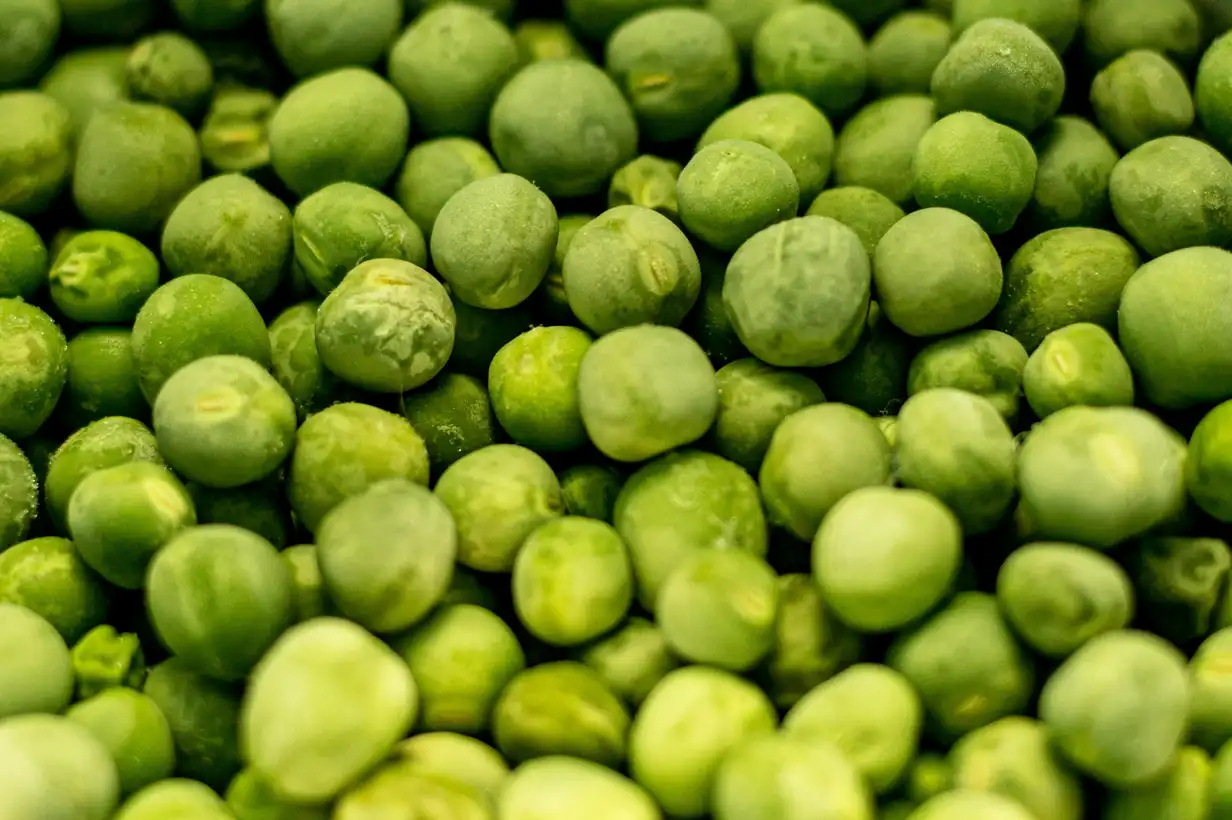 Les petits pois : récolter et conserver vos grains maison
