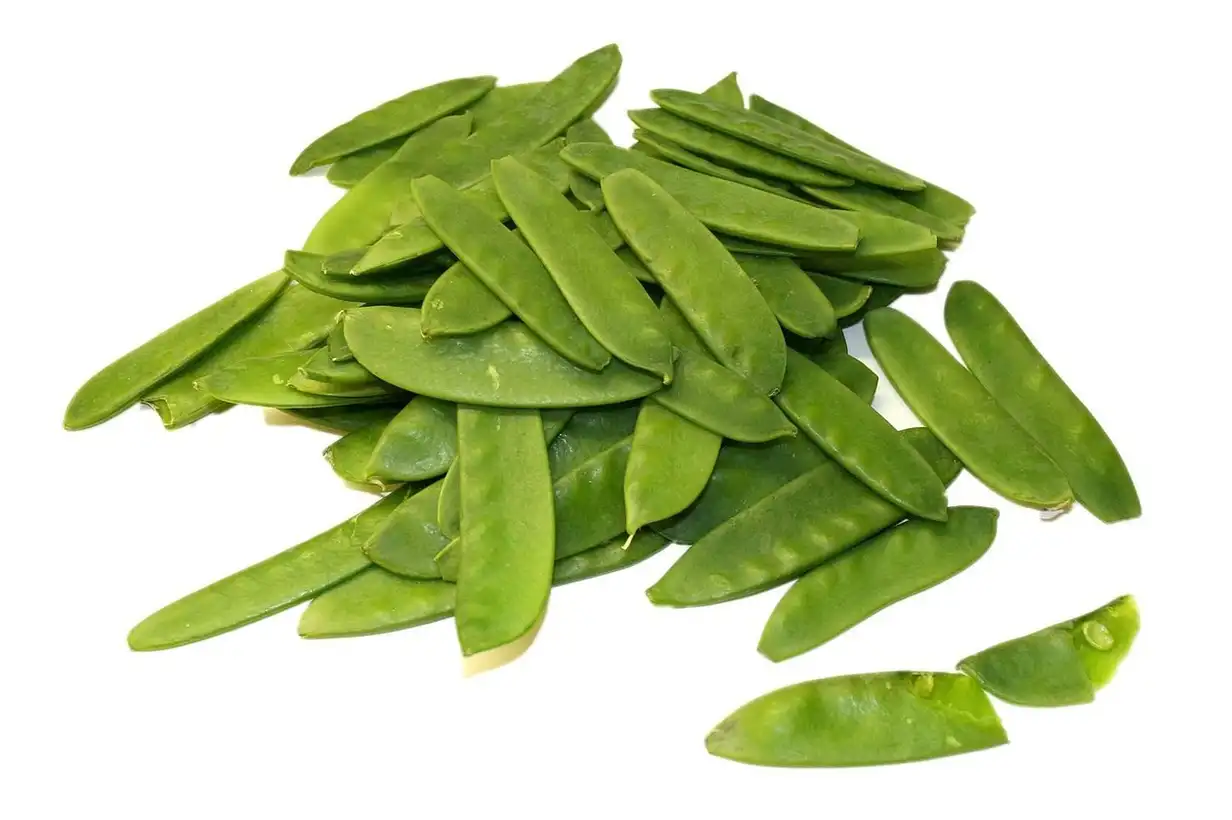 Pois mangetout : bien récolter et conserver pour en profiter longtemps