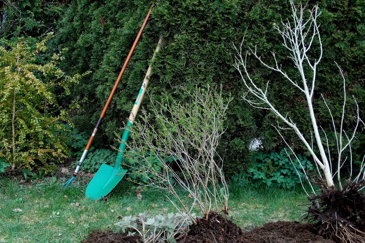 Beche : 9 erreurs à éviter pour un jardin sans se fatiguer