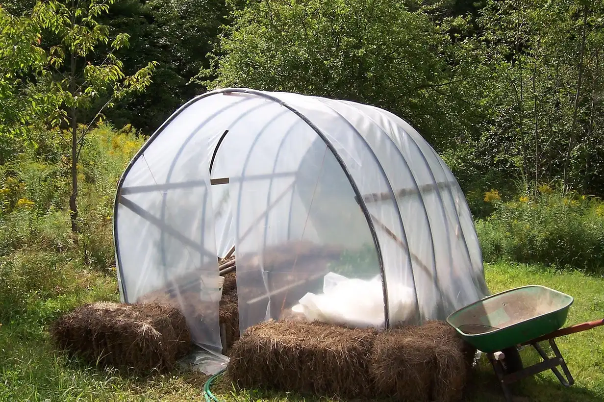 Comment créer un potager pas à pas sur petite surface : 7 étapes clés