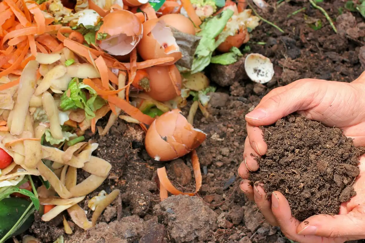 Comment faire un compost en appartement : solutions simples