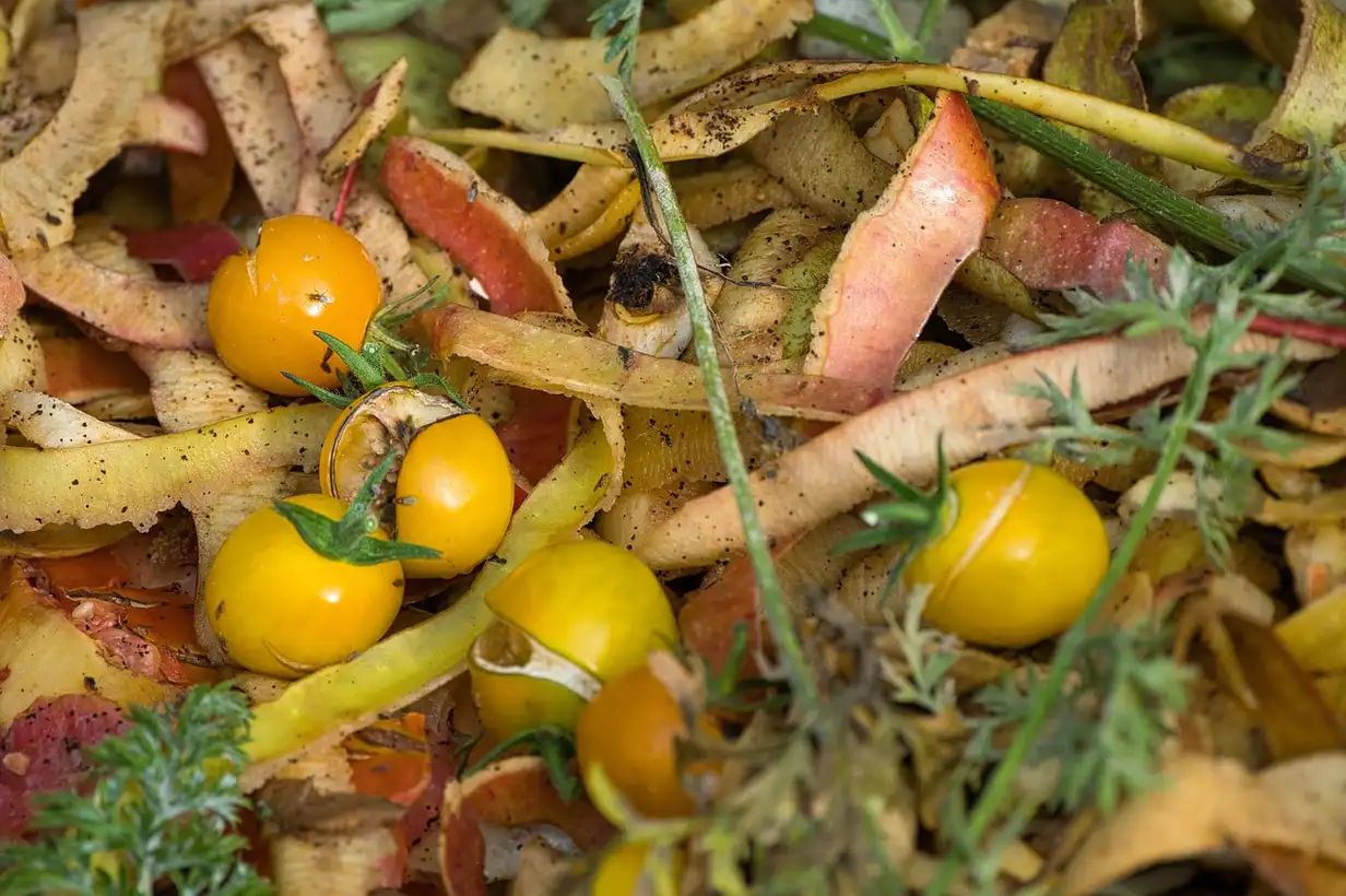 Comment faire un compost : le guide complet 2026