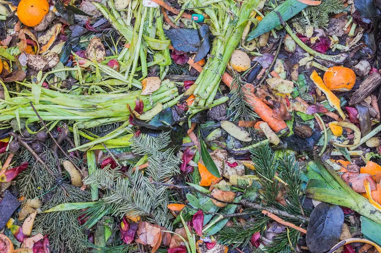 Comment faire un compost sans odeur : 9 règles essentielles