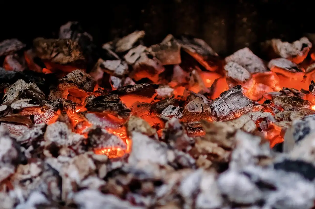 Comment utiliser la cendre dans son potager ? 7 erreurs à éviter absolument