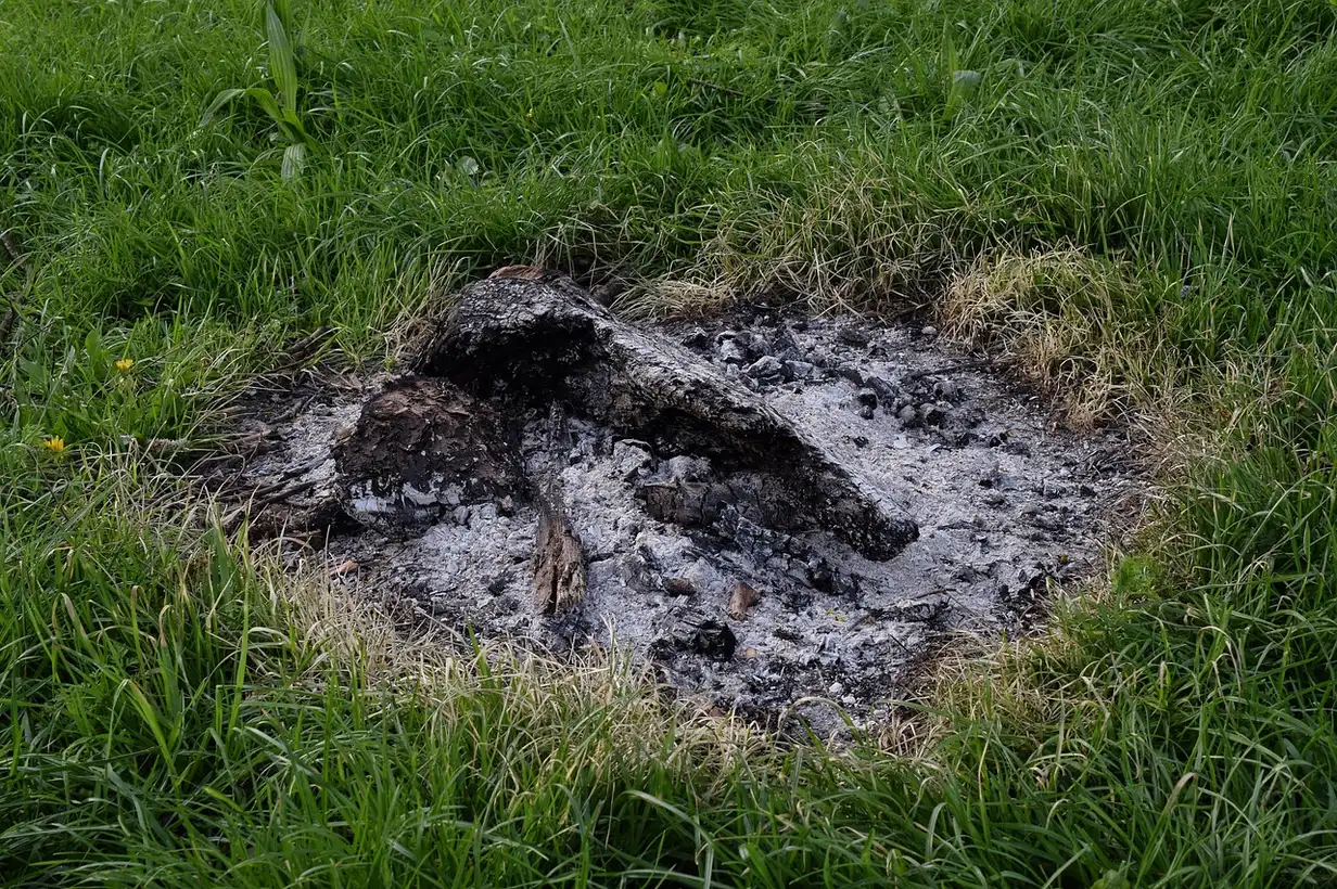 Comment utiliser la cendre dans son potager ? Dosages et calendriers 2026