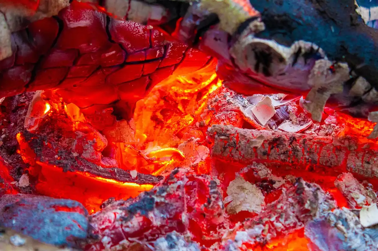 Comment utiliser la cendre dans son potager ? Guide complet 2026