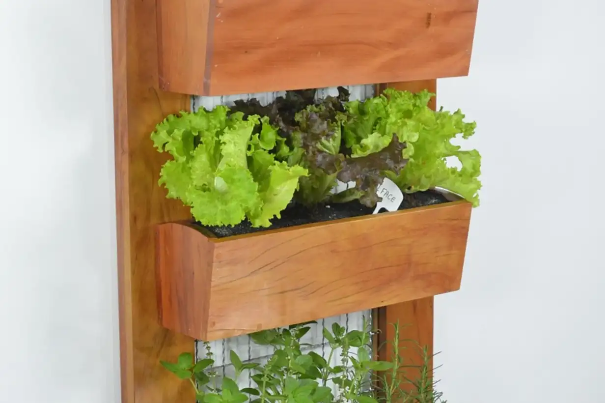 Culture verticale en pot : réussir son mini potager de balcon