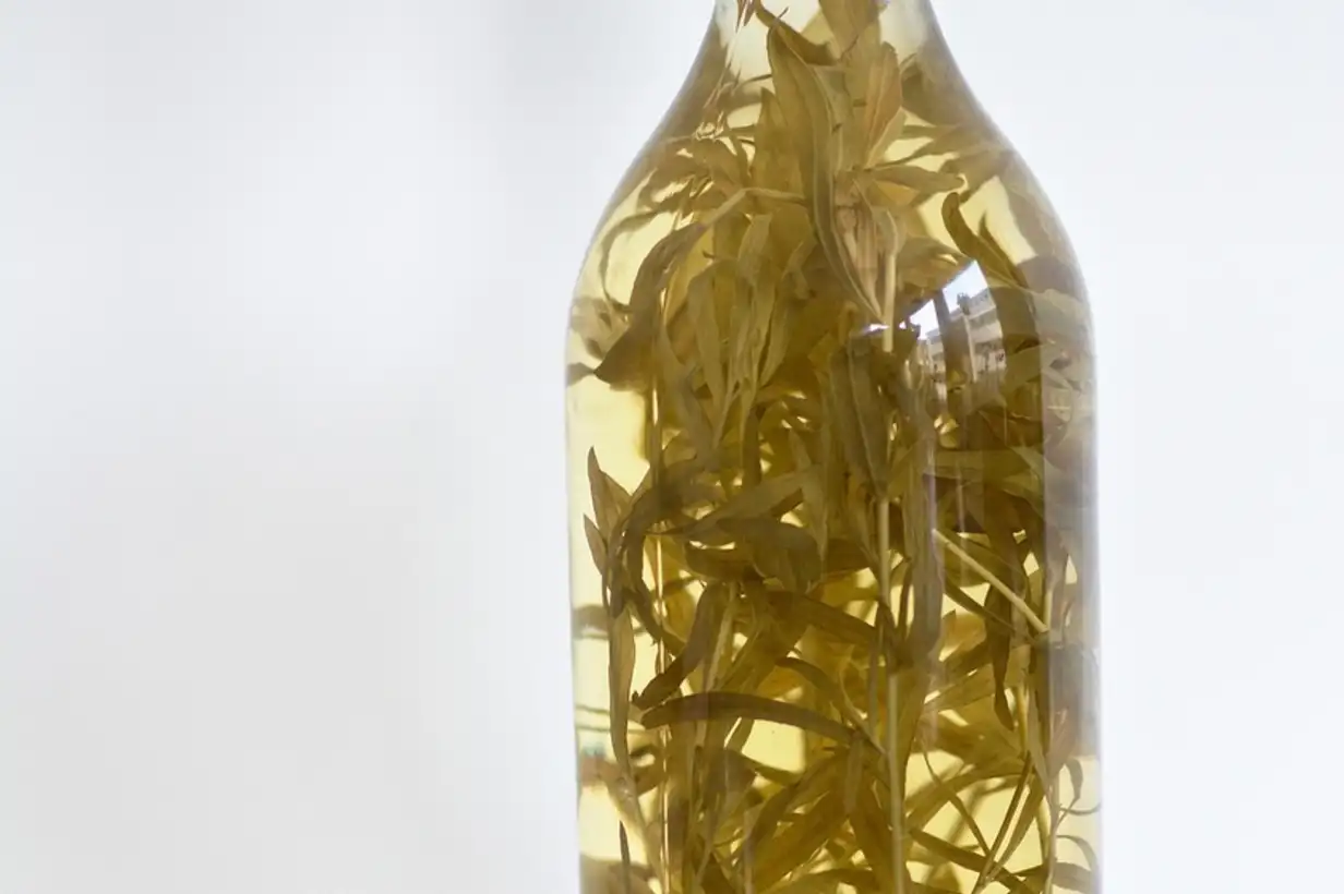 Estragon : récolter et conserver vos feuilles aromatiques