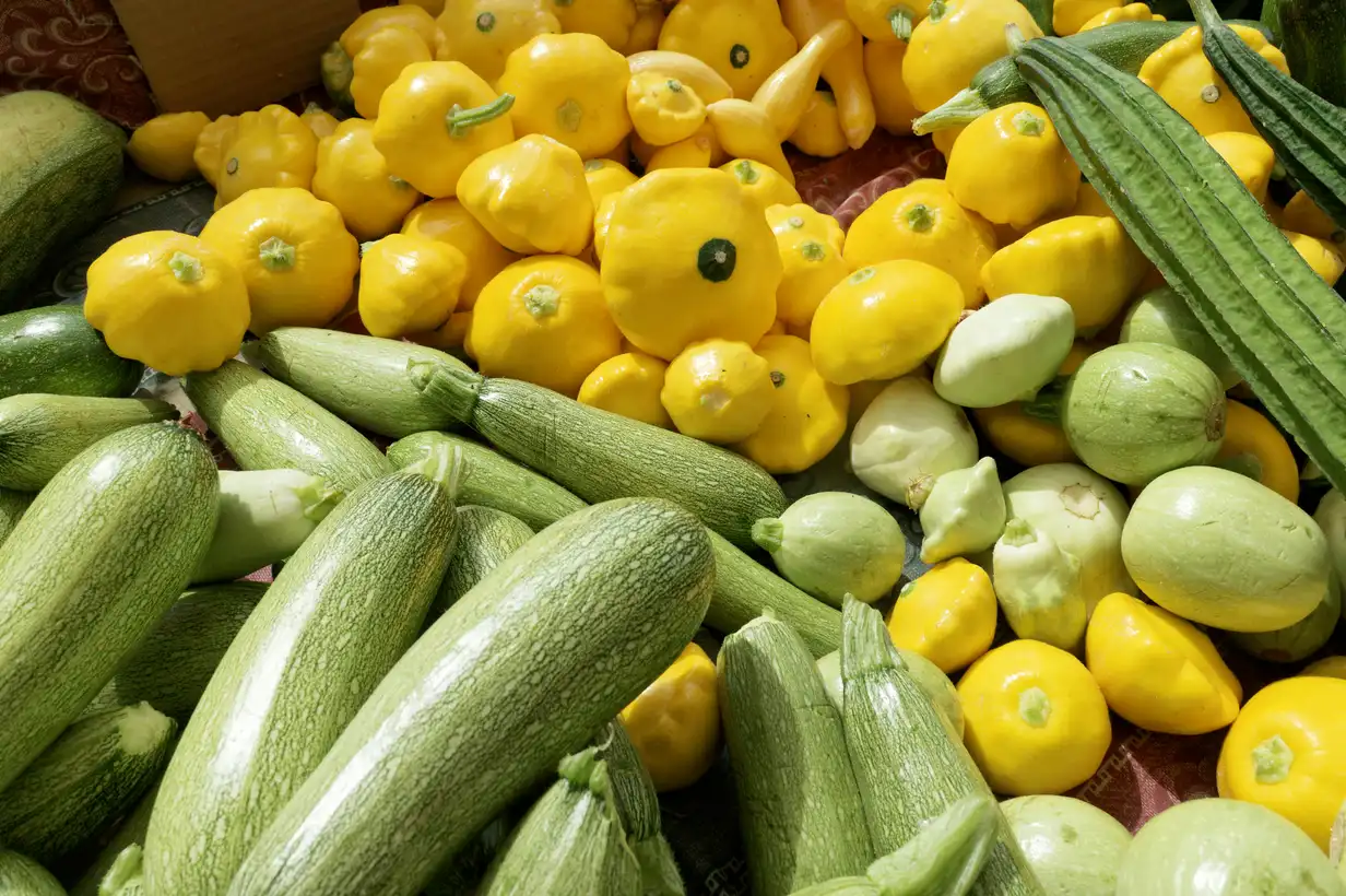 Pâtisson : maladies fréquentes et solutions naturelles au potager