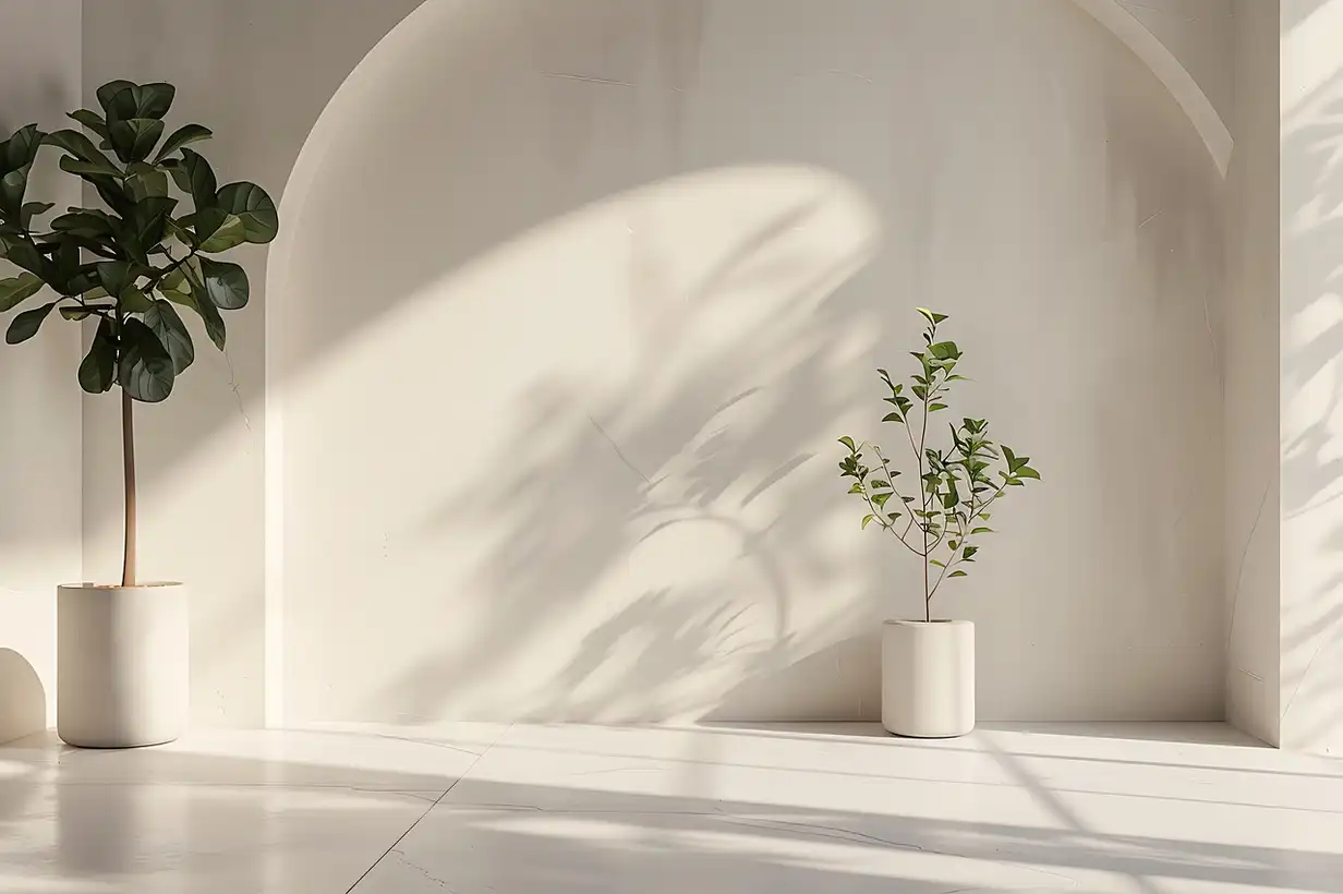 Top 5 des plantes d’intérieur pour l’hiver 2026 : erreurs à éviter absolument