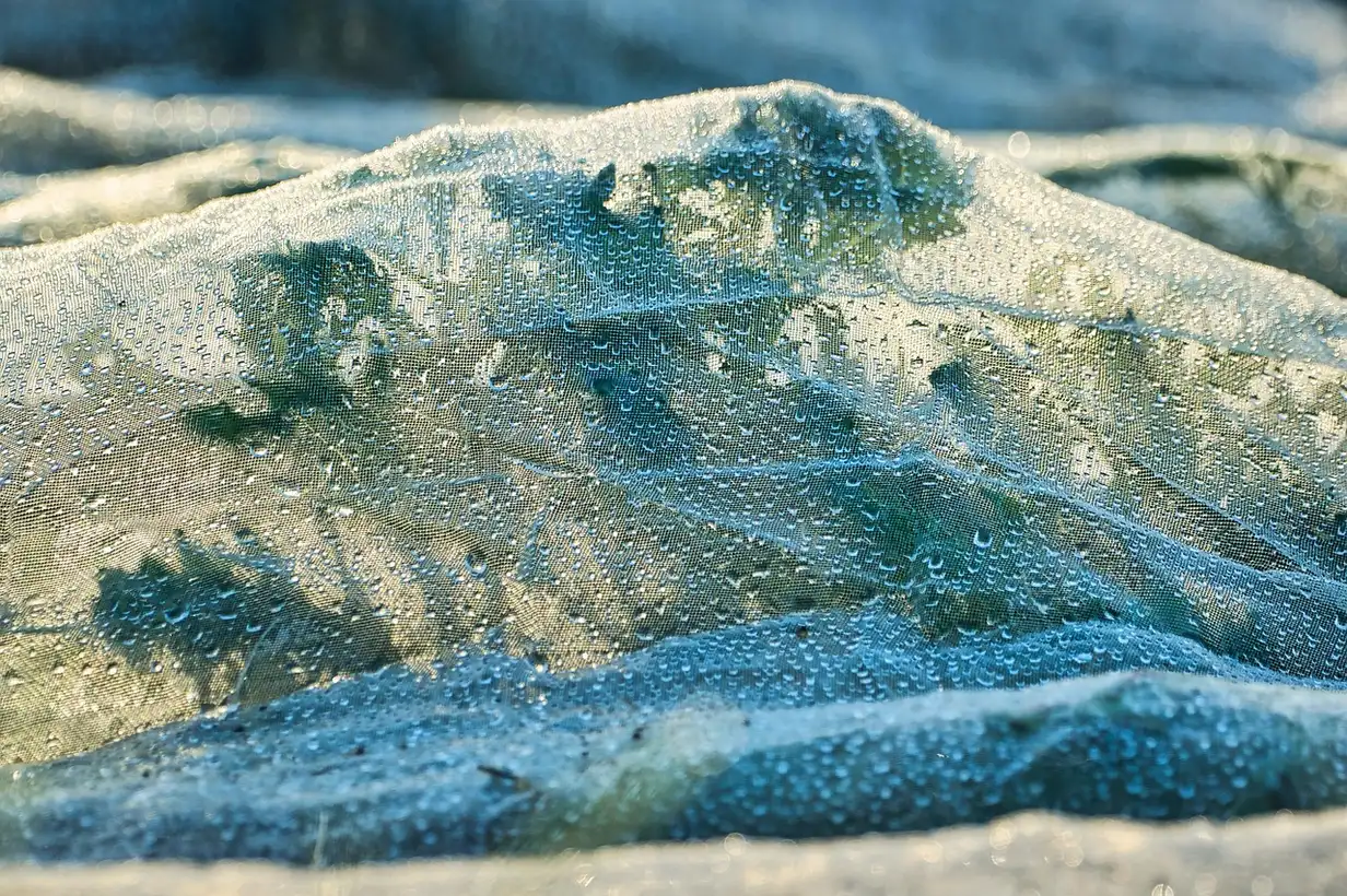 Voile d’hivernage : le guide complet pour protéger le jardin 2026