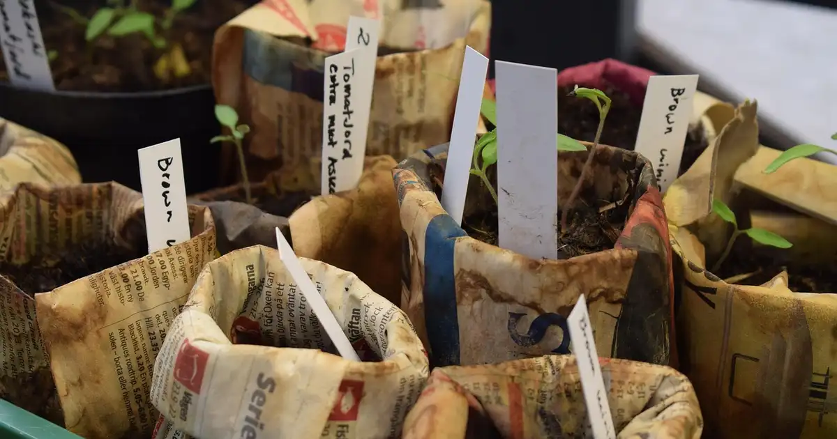 Diversification des cultures et santé du sol : méthodes clés en 2026