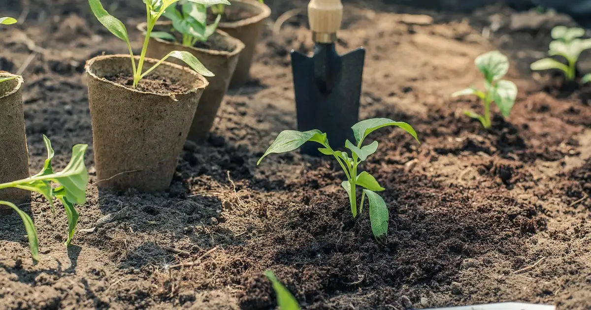 Préparation du potager au printemps : 9 erreurs à éviter en 2026