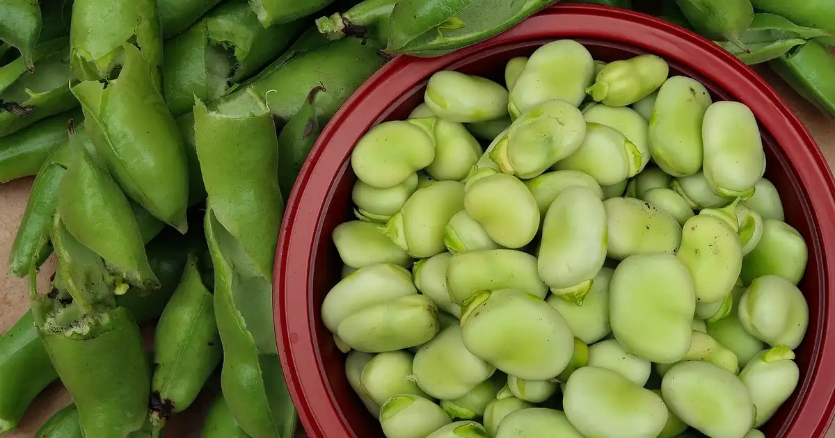 Les fruits et légumes de saison en avril : liste, recettes et conseils
