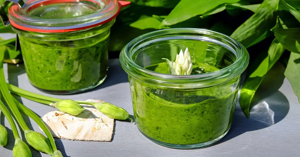 Recette de pesto à l’ail des ours maison, facile et parfumée