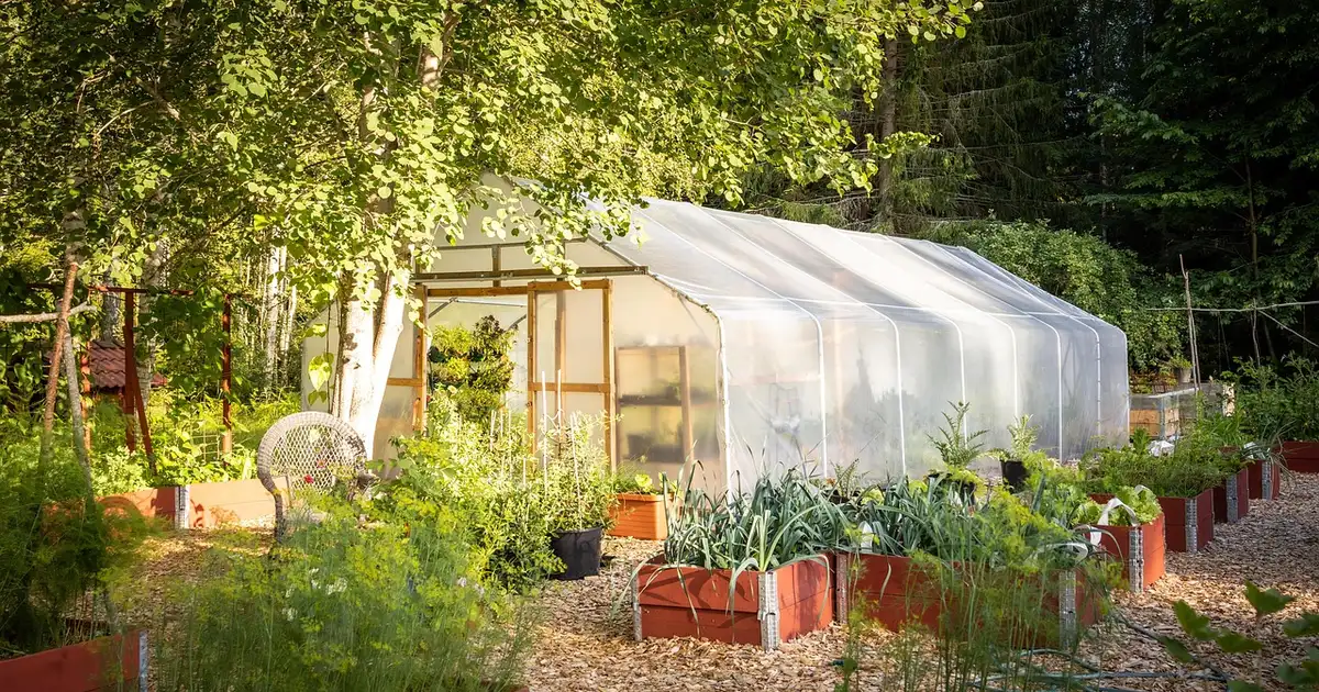 Serre de jardin : bien choisir, installer et cultiver en bio