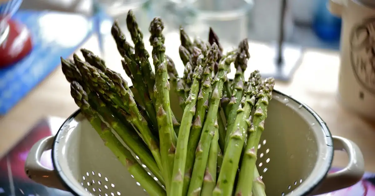 Meilleures recettes avec les asperges bio faciles et de saison