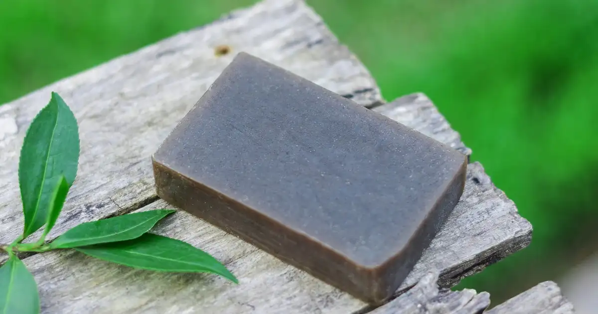 Savon noir au potager : un remède efficace et vraiment bio