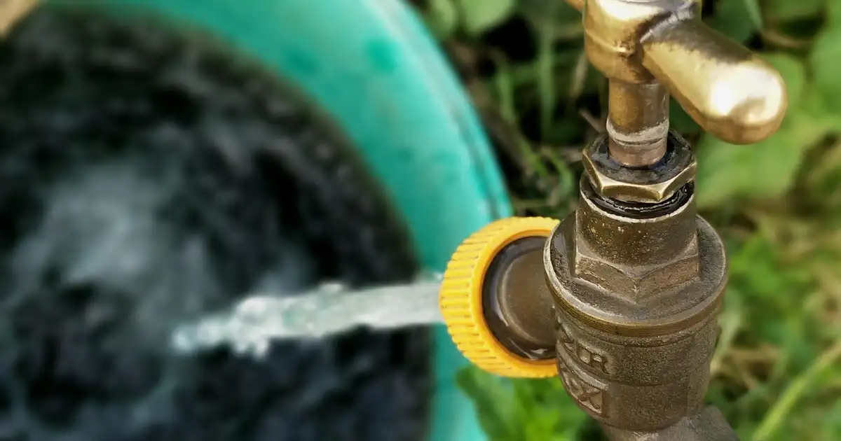 Arrosage goutte à goutte : comment l’optimiser au jardin bio