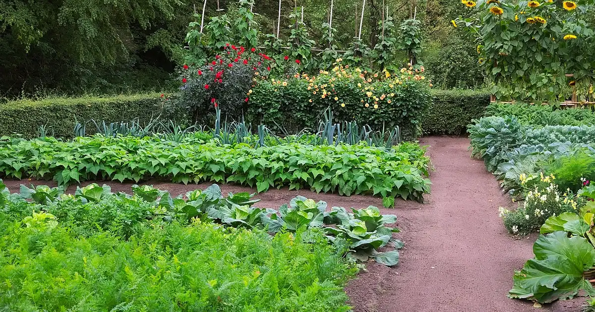 Comment protéger son potager du vent : solutions bio et durables