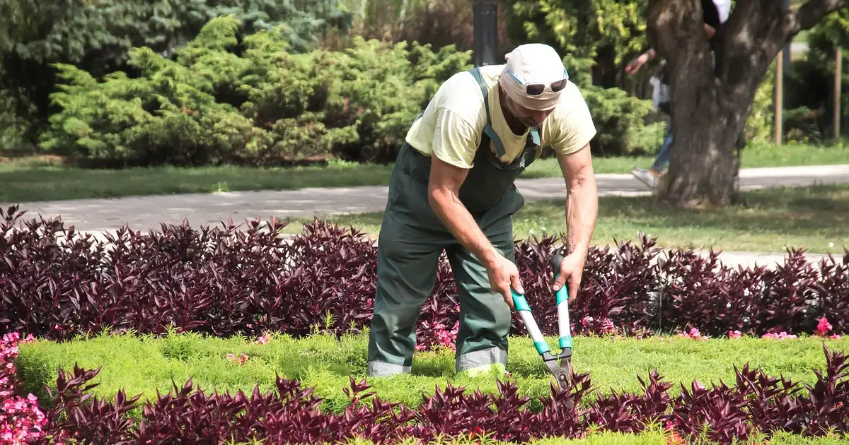 Jardinage : le meilleur de tous les sports pour votre santé