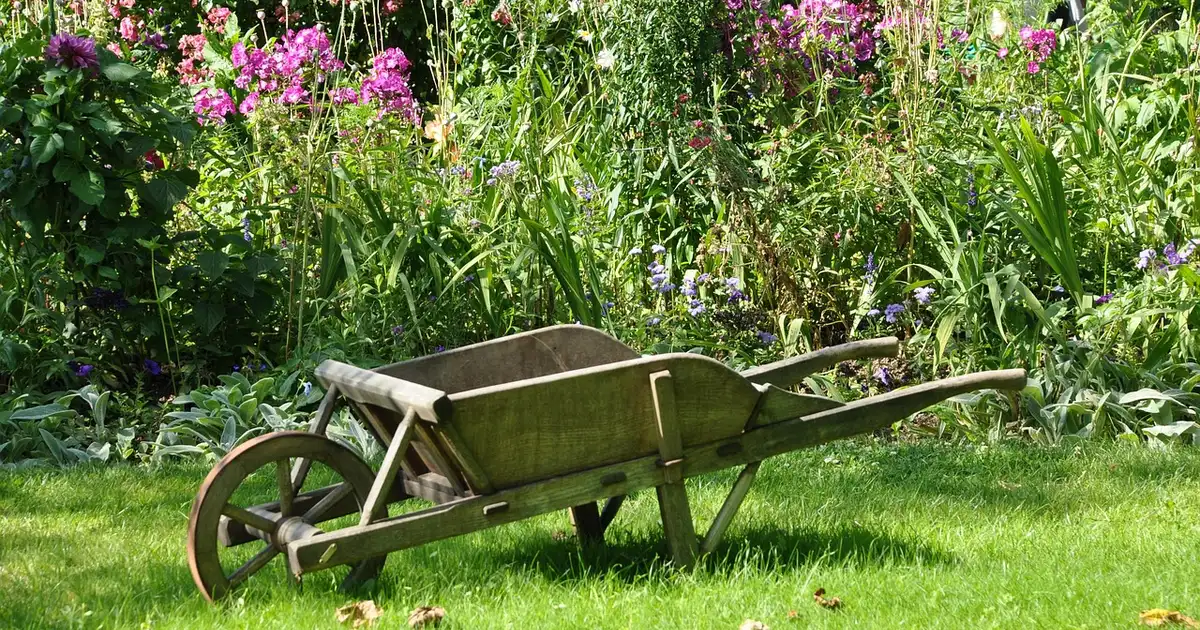 Travaux de saison au jardin en juillet : arrosage, taille, récoltes
