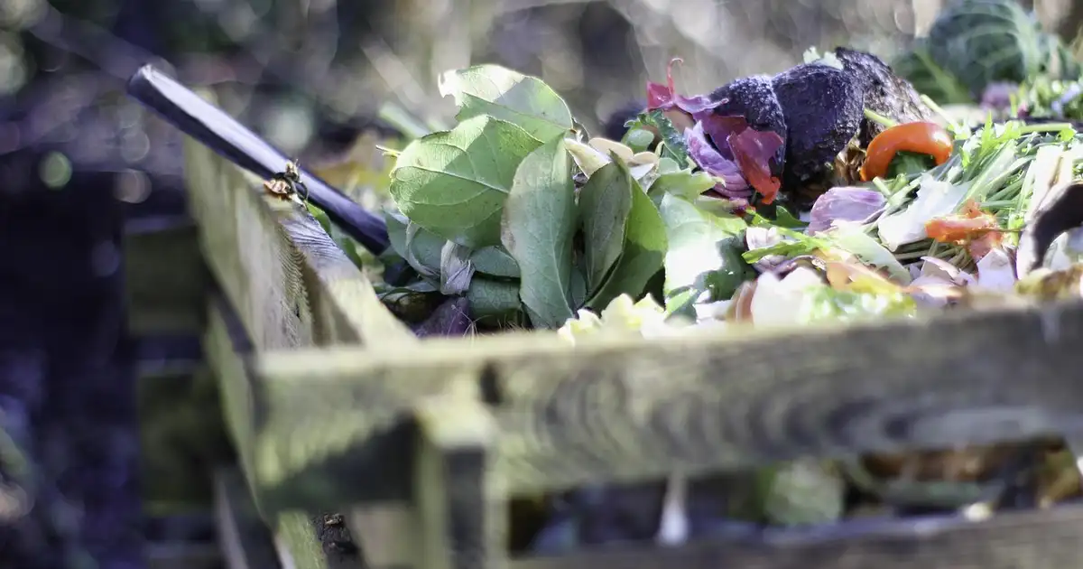 Composter les déchets verts d&rsquo;été : liste complète et erreurs à éviter