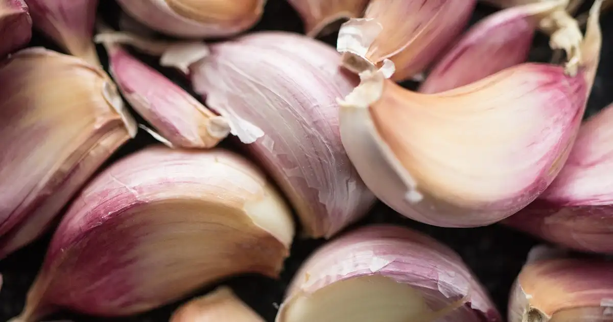 Que planter en octobre au jardin bio : potager, fleurs et verger