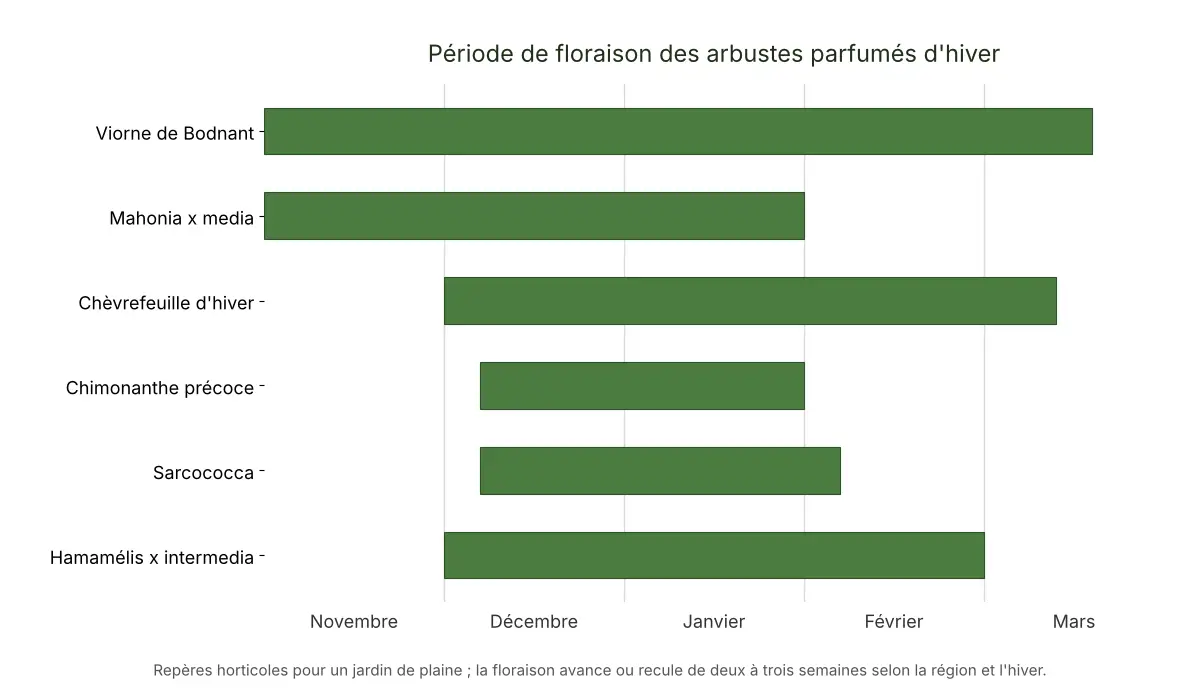 Graphique en barres comparant les p&eacute;riodes de floraison de six arbustes parfum&eacute;s d'hiver, de novembre &agrave; mars