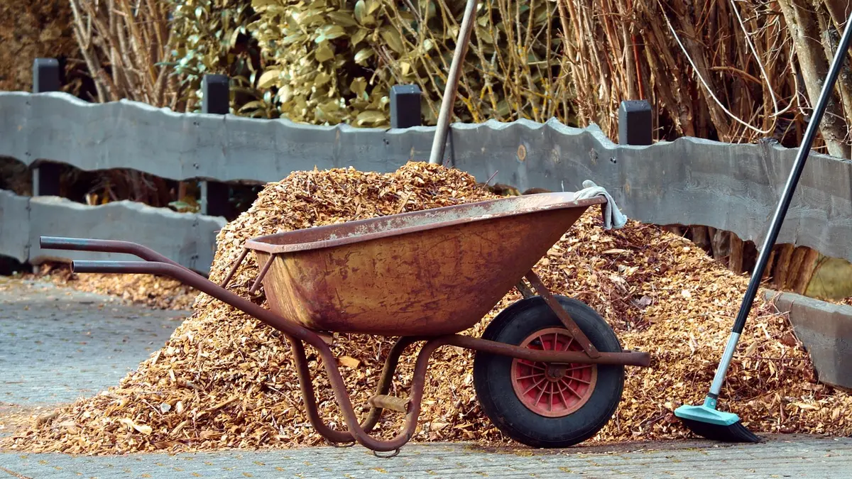 BRF au jardin : fabriquer et épandre du bois raméal en automne