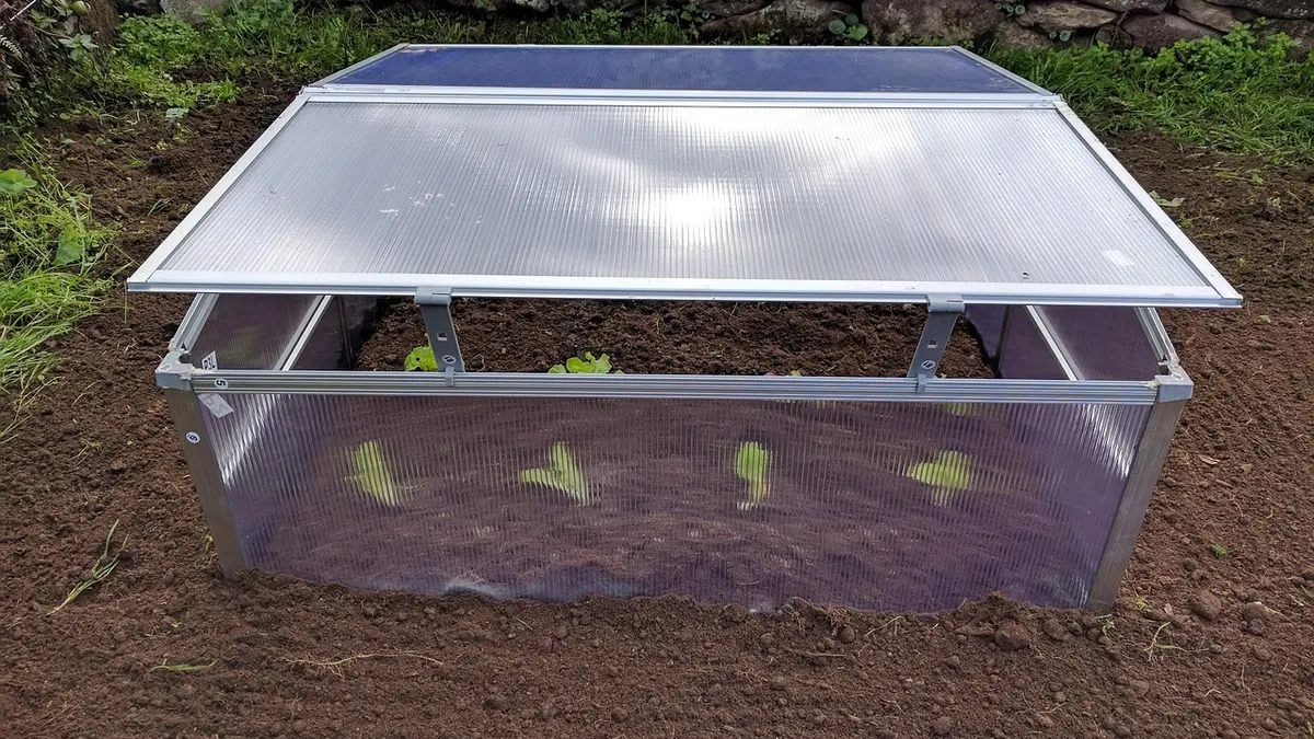 Châssis de jardin : cultiver et protéger ses légumes en hiver