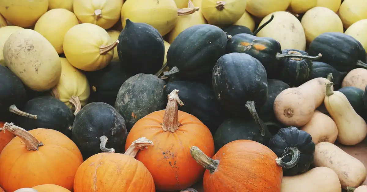Fruits et légumes de saison en novembre : la liste à connaître