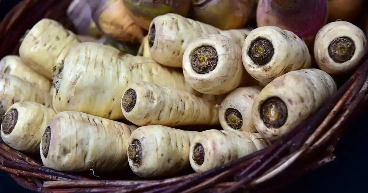 Silo à légumes : conserver ses légumes racines tout l&rsquo;hiver