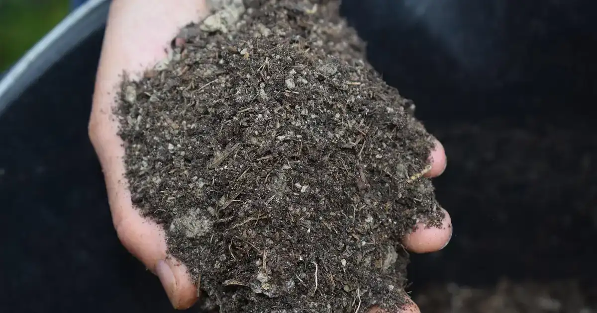 Terre argileuse : comment l’alléger et l’améliorer en automne